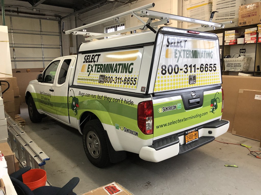 Vehicle graphics